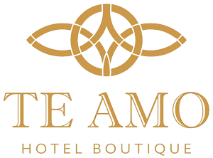 te_amo_hotel_boutique_san_miguel_de_allende1